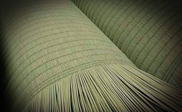 カビ・ダニの対策